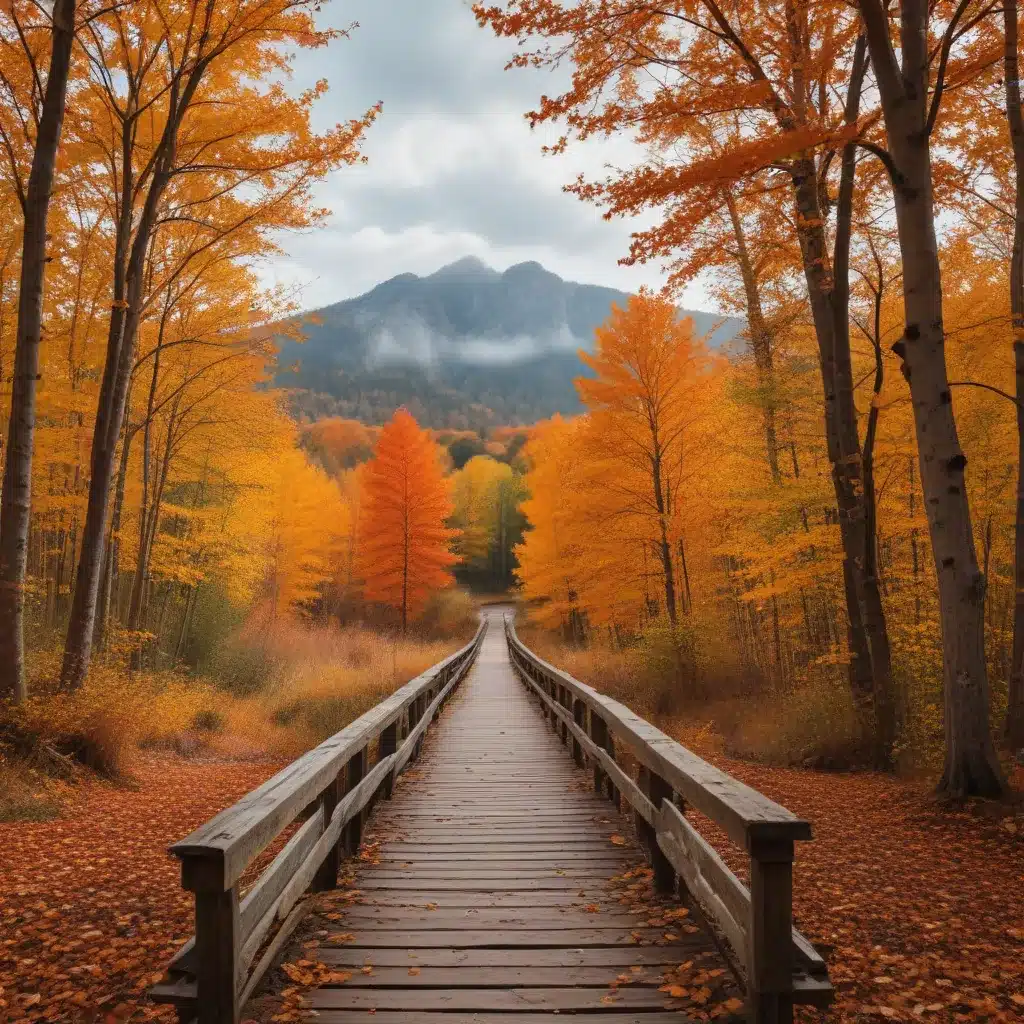 Best Places to Take Photos in the Fall