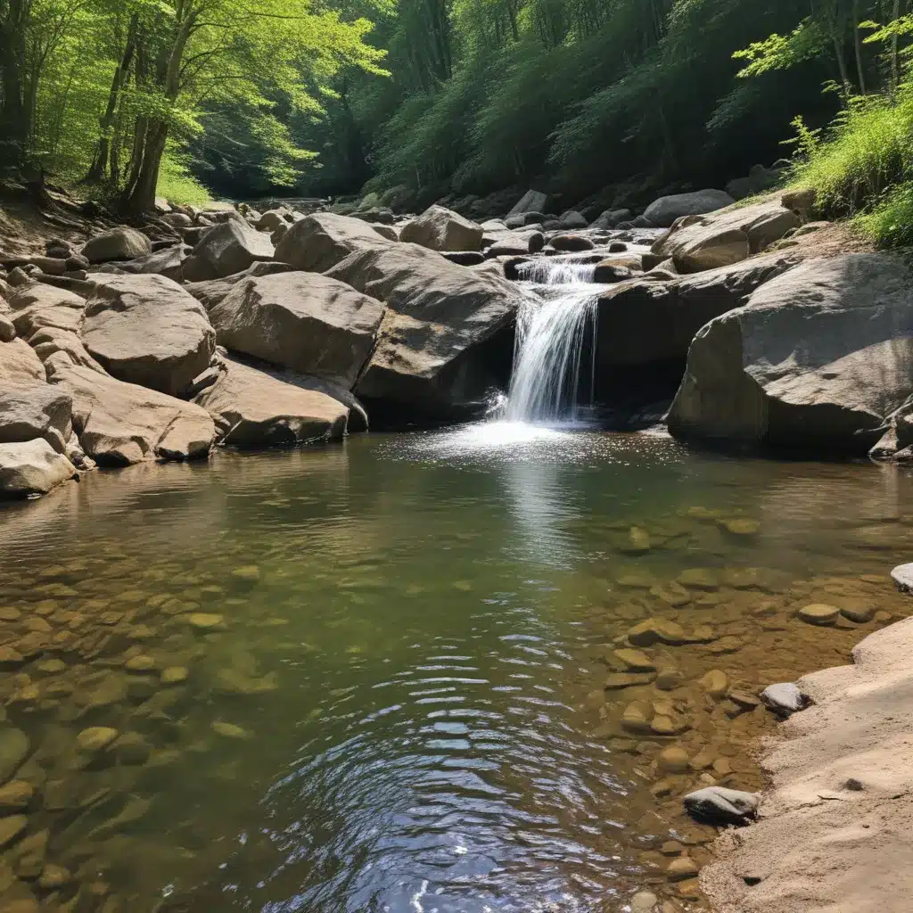 Creek Walking and Waterfall Hunting: Finding Caldwell Countys Best Swimming Holes